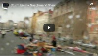 Sturm vs. Jahrmarkt in Wien